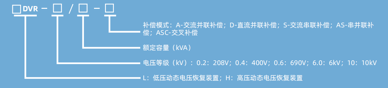 DVR1